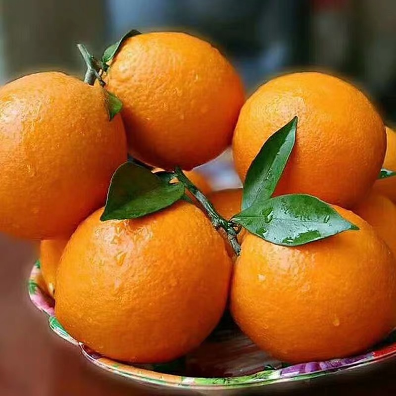 橙香十足，果粒饱满 香嫩多汁，营养丰富