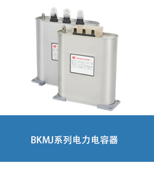 ����������BSMJ0.45-30-3��������������