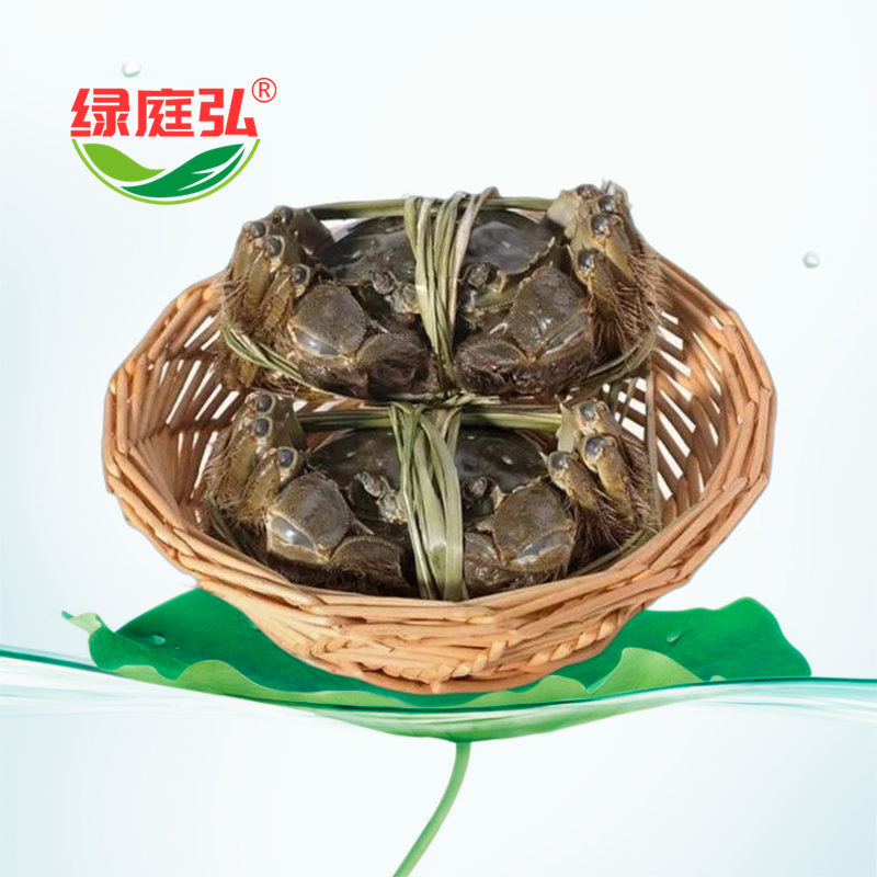 绿庭弘兴化大闸蟹 绿庭弘兴化大闸蟹