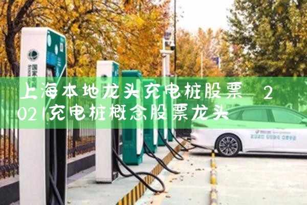 无锡充电桩厂家名录