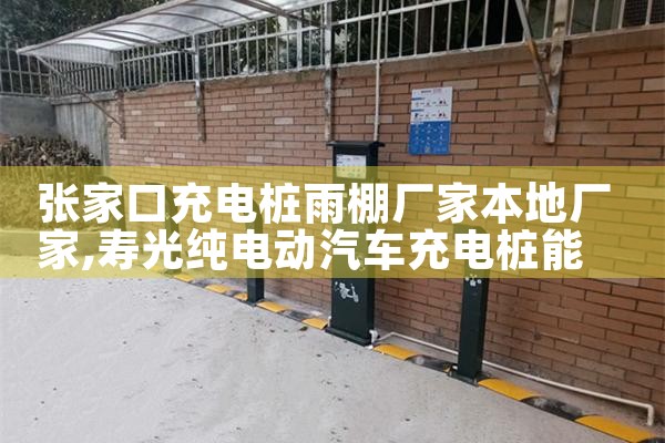 重庆电瓶车充电桩厂家哪家好点