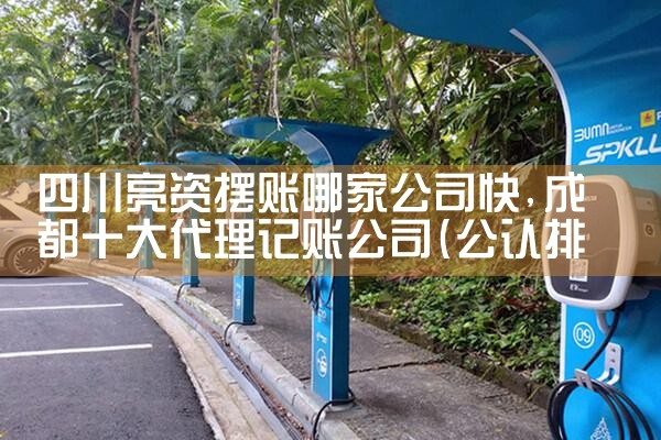 松原临沂新能源充电桩厂家哪家好些啊