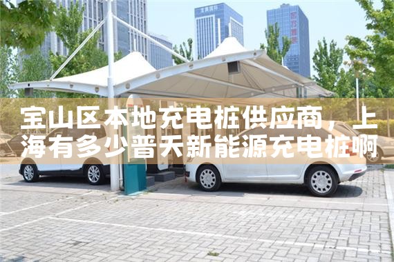 宝山区本地充电桩供应商