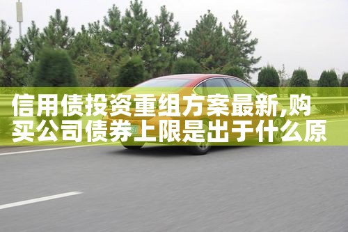 ����ծͶ�����鷽������