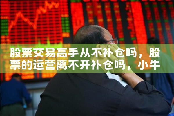股票交易高手从不补仓吗|小牛股