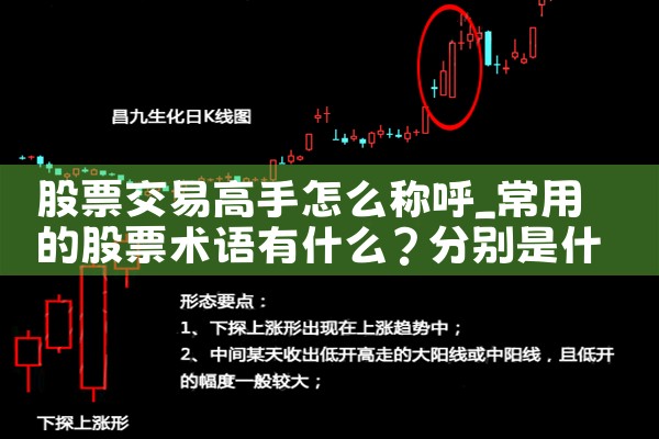 股票交易高手怎么称呼|小牛股