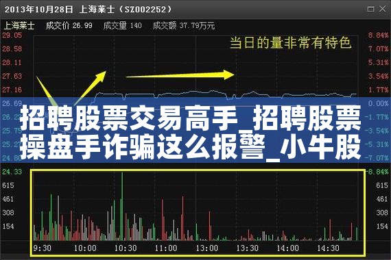 招聘股票交易高手|小牛股