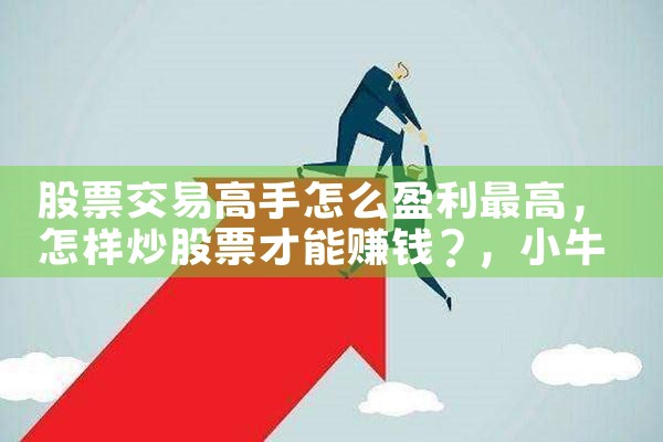 股票交易高手怎么盈利最高|小牛股