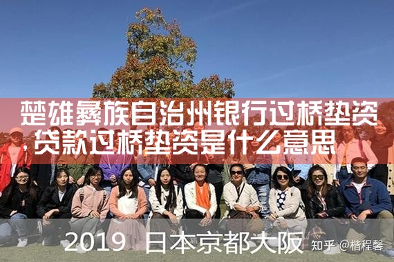 南平亮资摆账公司