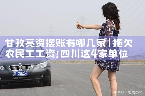 大同亮资摆账手续有谁知道