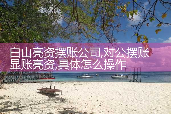 白山亮资摆账公司