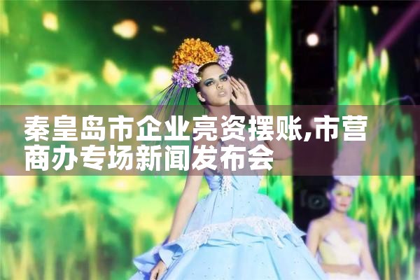 秦皇岛市企业亮资摆账