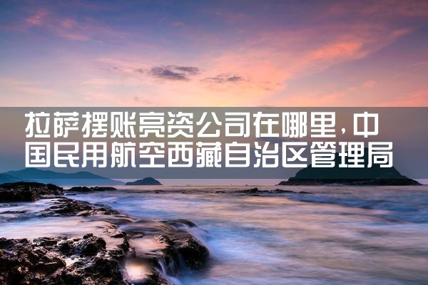 上海过桥垫资项目有哪些公司最好