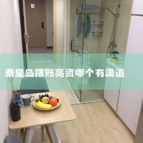 ������֧����˾������֧����˾��Ҫͨ����ȡ�����ֱ��׬Ǯ�����⻹��ͨ���ͻ�����׬Ǯ��֧���˻����̼һ��û���ȡ֧������ѣ����ľ������ǳ����Ϳͻ���������ڿͻ�����ֵ���ڷ��񣬼����������������Ƹ��������Ŵ�