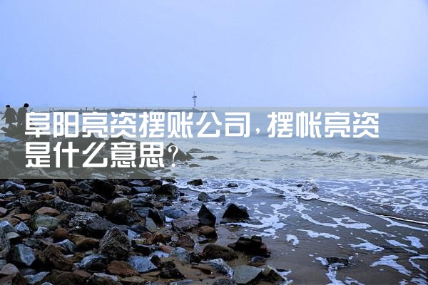 阜阳亮资摆账公司