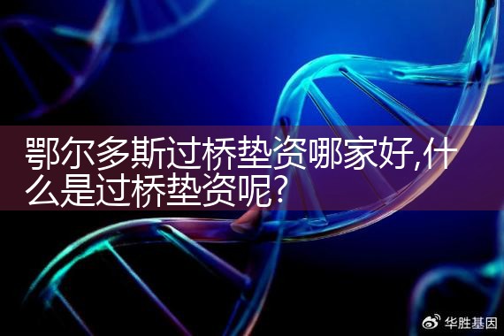 荆门买卖房过桥资金