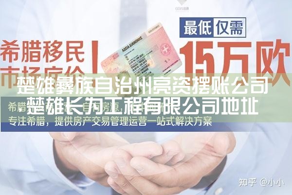 楚雄彝族自治州亮资摆账公司