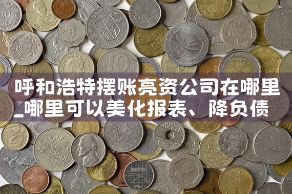 上海诚达信贷公司怎么样啊