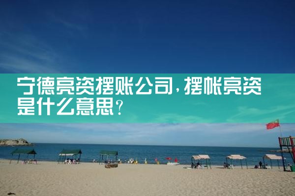 宁德亮资摆账公司