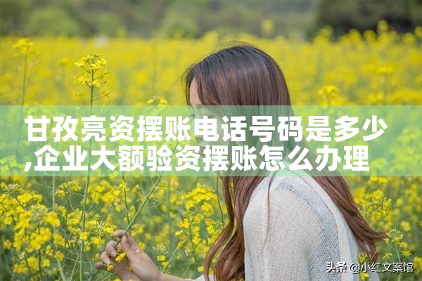 濮阳摆账亮资手续怎样办理