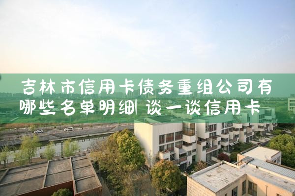 ���������ÿ�ծ�����鹫˾����Щ������ϸ