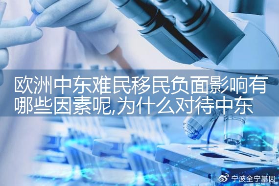 国内十大移民机构