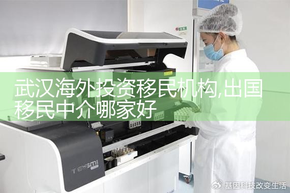 武汉海外投资移民机构