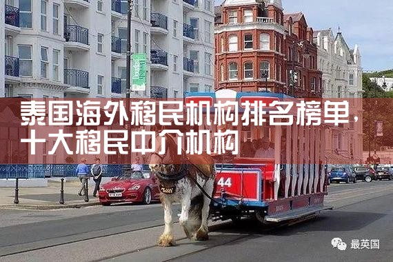 泰国海外移民机构排名榜单