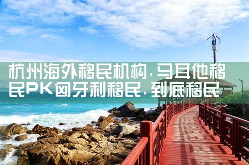 欧洲厨师移民种类有哪些选择要求