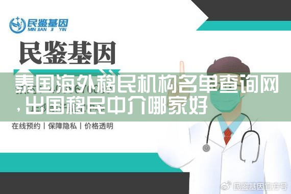 南京十大移民机构有哪些