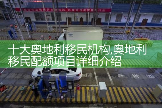 十大奥地利移民机构