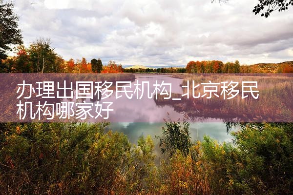 办理出国移民机构