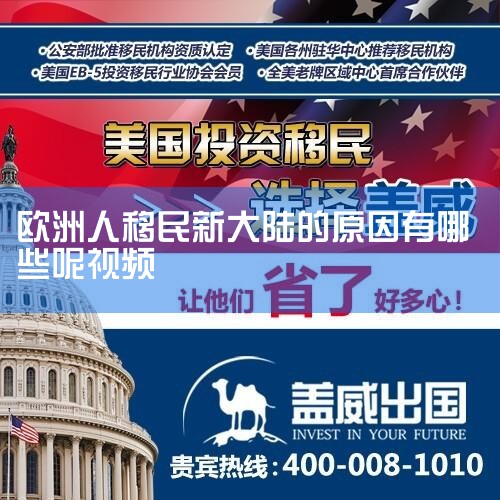 1���ļ���ѧ���ļ���ѧ���й������רҵ����������֮һ���������걻��Ϊ���������Ʒ��Ӱ�������������2�������������ʼ��ţ������������ʼ�����רע�ں������񡢺���Ͷ�ʡ����������רҵ������������2011