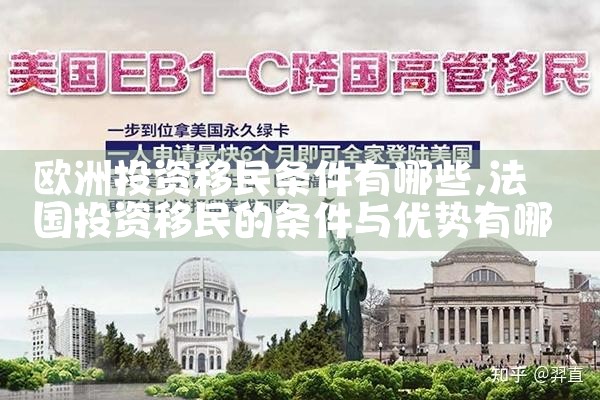 海外置业移民机构有哪些企业类型