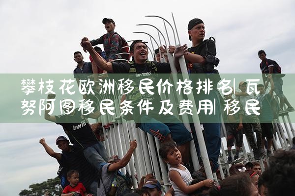 移民美国可以投资50万吗国际公司吗|香港移民
