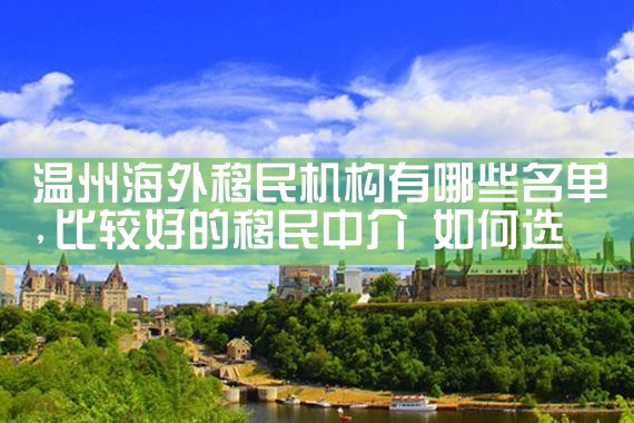 海外移民金牌上市机构是哪家公司的
