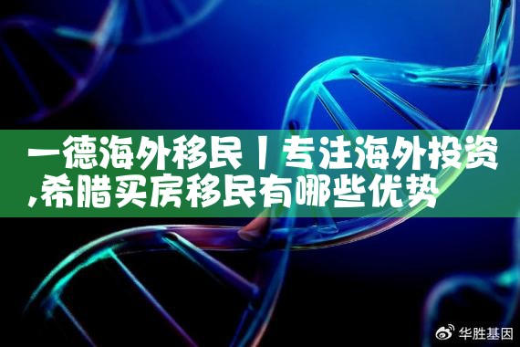 深圳到英国海外投资移民价格