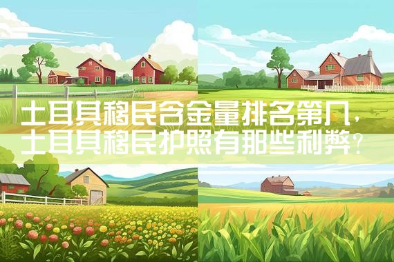 虹口美国投资移民怎么样了最新消息|美国移民