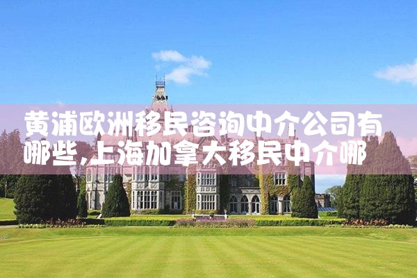 黄浦欧洲移民咨询中介公司有哪些