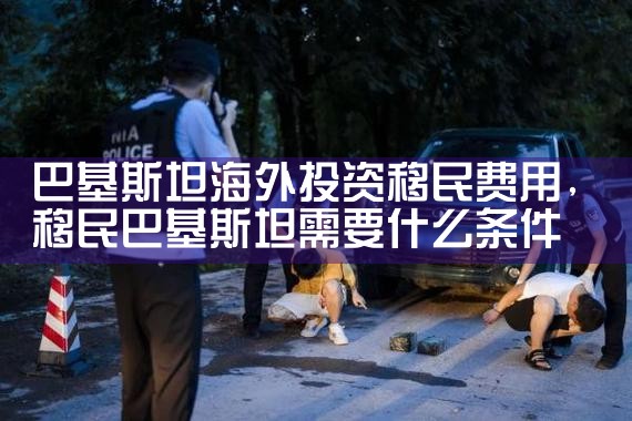 企业海外投资移民