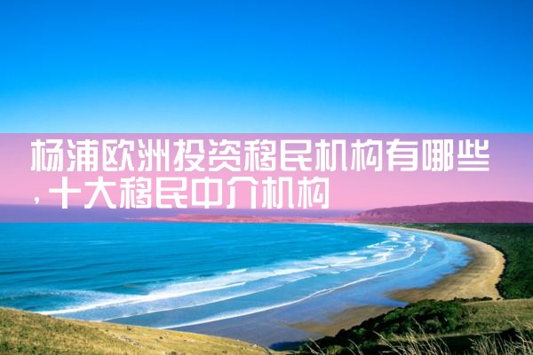 ŷ�޹������������������