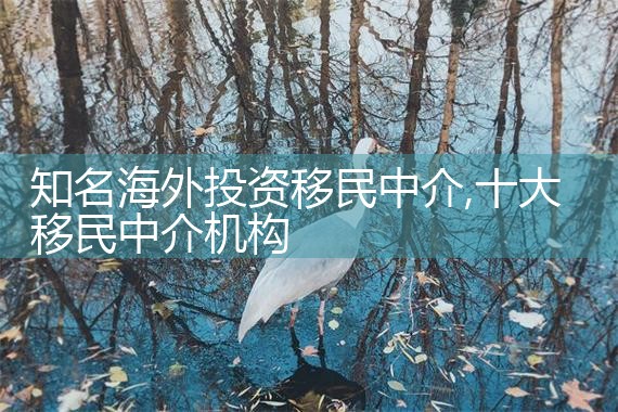 海外投资移民报价多少