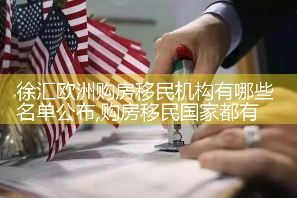 中国十大移民机构