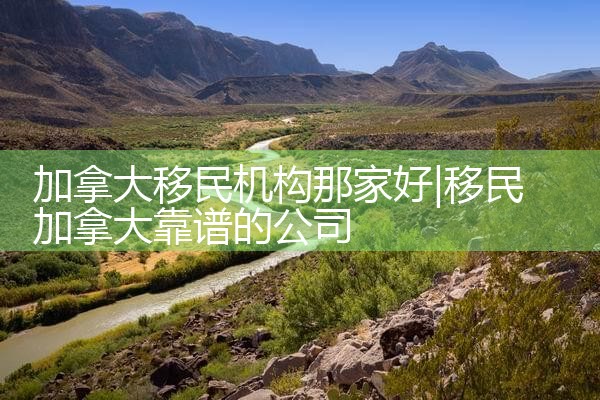 加拿大移民机构那家好