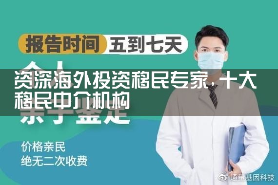 海外投资移民中介工资