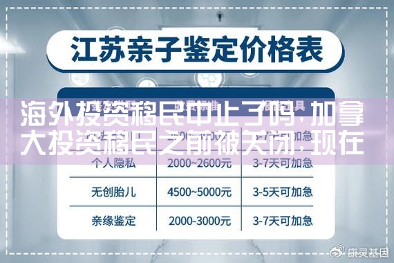 海外投资移民研究院