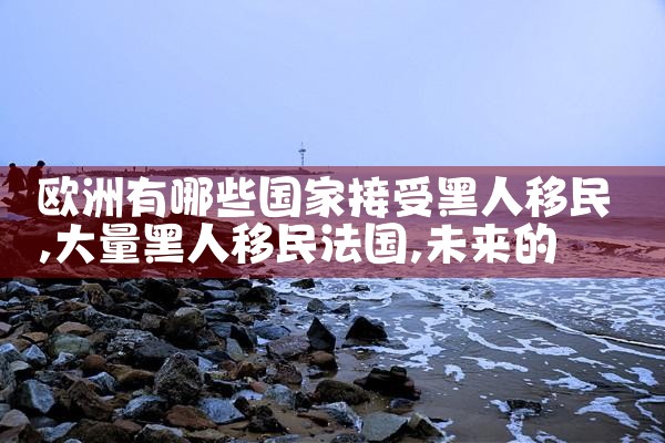 欧洲有哪些国家接受黑人移民