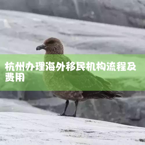 �й�ʮ������˾�������£�1���������� �����������й�ҵ�ڹ�ģ���ҵ��Χ��㣬��Ŀ������ȫ�ĳ��뾳�����������ȫ��ӵ��25��ֱ���ֹ�˾����ǩԼǰ��ǩԼ���һ�������񣬳�Ϊ������ҵ�����ߺ������ߣ���