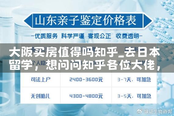 日本大阪300元人民币买房