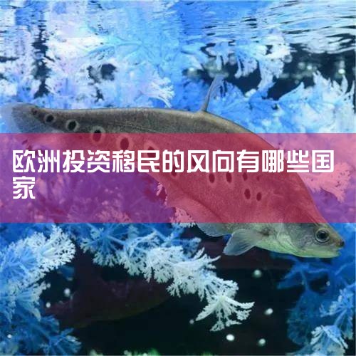 1�����������ӿ���Ӱ�쵽����ΰ����ȶ������µ��������ʵ�������2�������������ĸ������������ж�ͯ���ܽ������⣬�Լ�һЩ���һ�Ϊ�����ṩ���ȼá�3�����뵱���˾����Ͷ���λ��4����κ����ذ�������